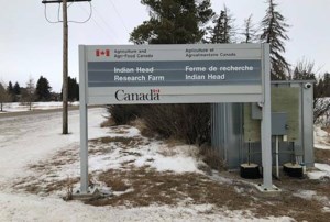 Saskatchewan research farm workers facing job losses