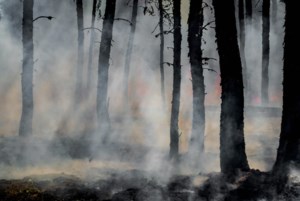 First Nations bring knowledge to wildfire strategy