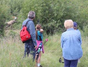 3D shoot brings together archers from large area
