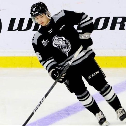 Yorkton Terriers acquire 2006-born defenceman Rayen Haché from Quebec