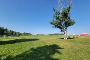 Public engagement begins for Jaycee Beach, dog park relocation