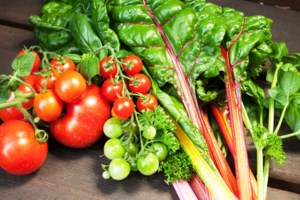 Grow Your Own Future: The Veggie Garden – Part I