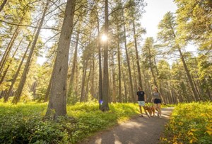Trans Canada Trail improvements in RM of St. Louis