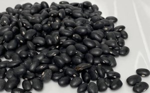 U.S. edible bean sector recovers from setback