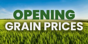 Opening Grain Prices – Mon. Aug. 24, 2026