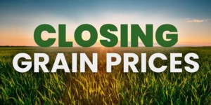 Closing Grain Prices - Mon. Aug. 24, 2026