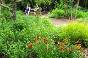 Garden Chat: Gardens at the Forestry Farm Park