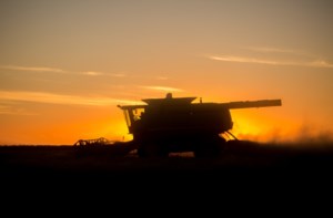Sask. Crop Report: Harvest plodding along due to rain