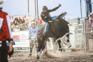 Young Stoughton bull rider racks up wins at summer events
