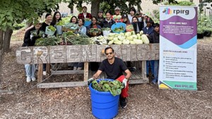 Sowing the seeds of community on the Green Patch