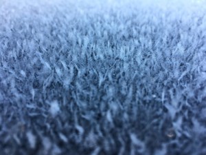 Update: Frost advisory lifted for the Estevan area