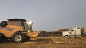 Producer balances farm growth with APAS board role