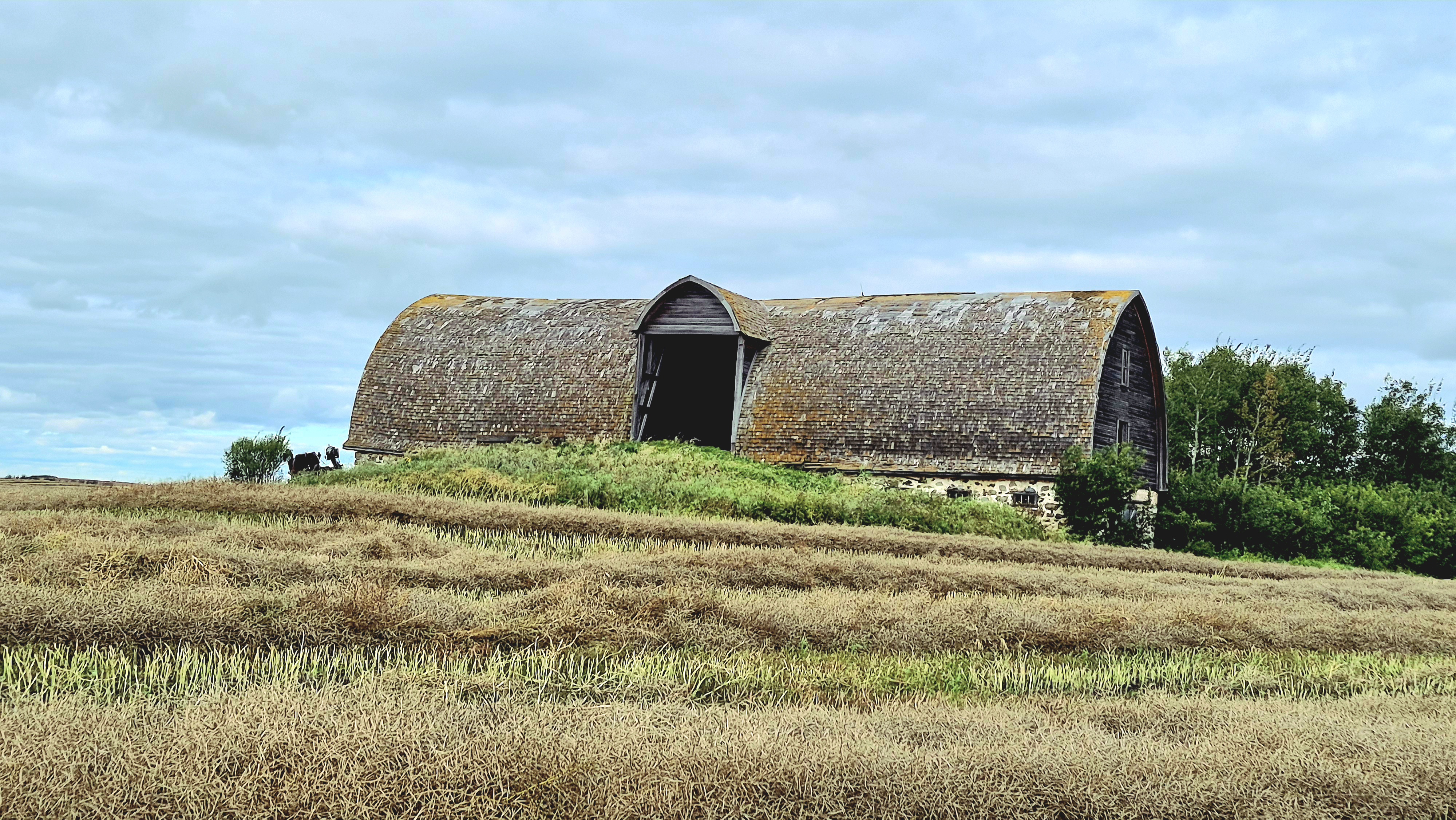 Small-town Saskatchewan, Like Bankend & Wishart, Is The Pulse Of The Prairies As we Make Our Way to the Kitzul Homestead
