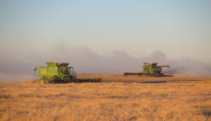 Sask. Harvest nearly one-third complete