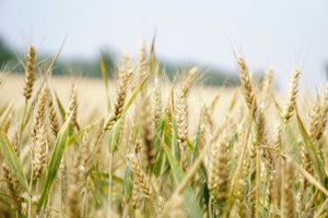 Saskatchewan recognizes Global Biotech Week