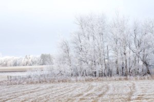 Bezte on the Weather: Frost across the Prairies before the thermometer hits zero