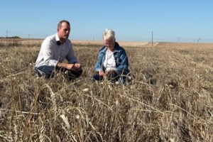 Moose Jaw-area harvest at 62 per cent as NDP calls for expanded farm relief