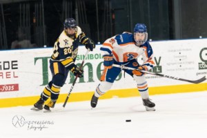 Southern Rebels build momentum on and off the ice ahead of new season