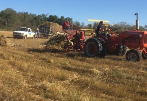 Borden and Area News: Threshermen gearing up for Sept. 26 threshing day