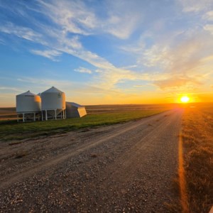 SaskAgToday.com Roundtable: Harvest update, U.S. not buying Belarusian potash