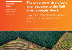 Potential biofuel increase prompts environmental concerns