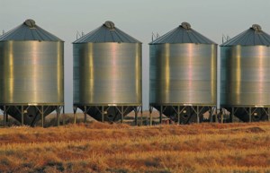 Farmers Business Network, Google create advanced AI farming tool