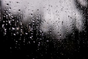 Rain warning, special weather statement issued at start of long weekend