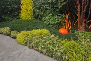 Grow Your Own Future: Giving thanks for a bountiful harvest