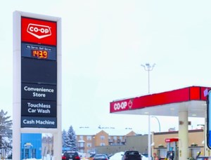 Co-operatives’ contributions celebrated during Co-op Week