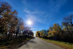 Yorkton receives $50K grant for tree planting initiative