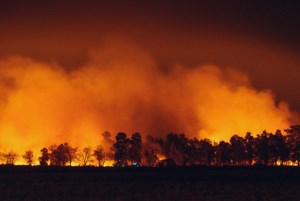 Saskatchewan records fewer wildfires during 2026 season