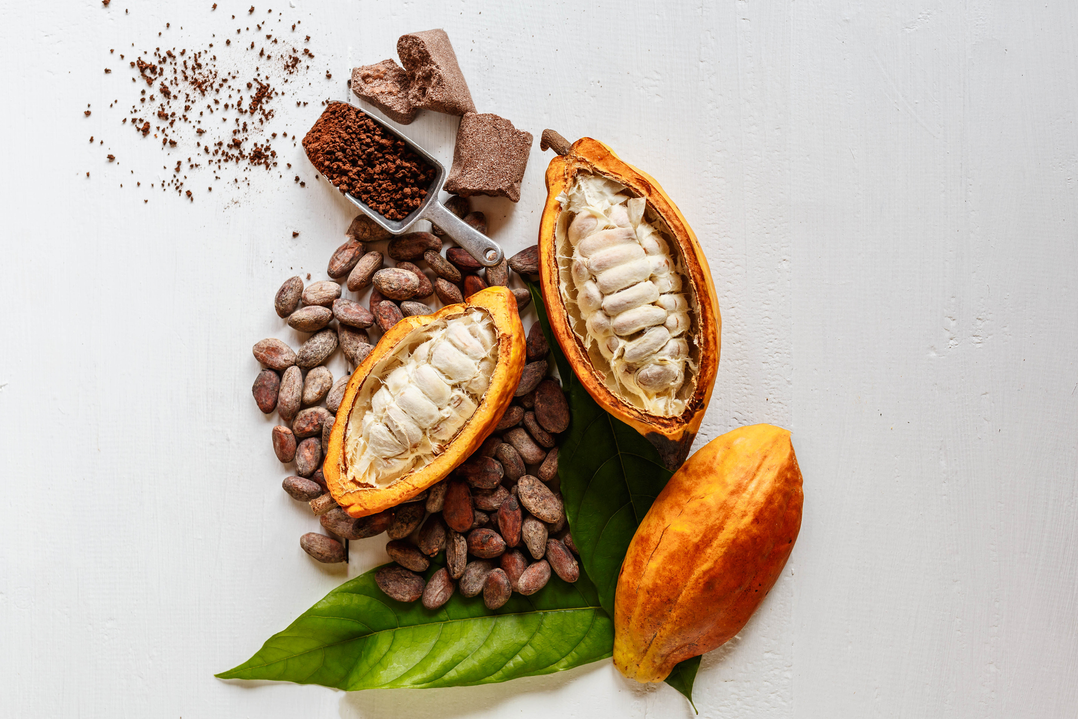 Écorces de cacao et infusion au goût chocolaté