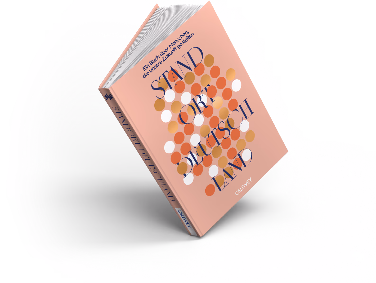 product image - blue book