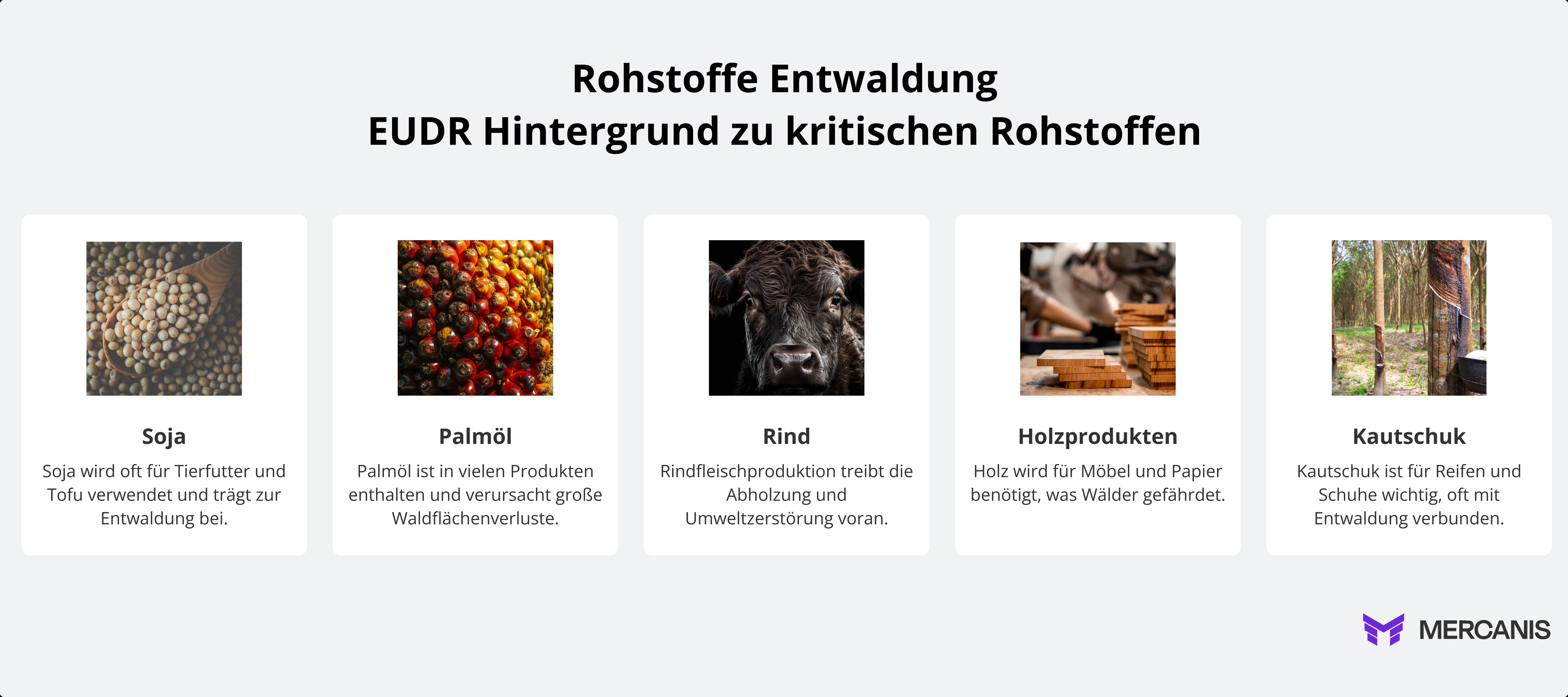 Rohstoffe entwaldung EUDR hintergrund zu kritischen rohstoffenf