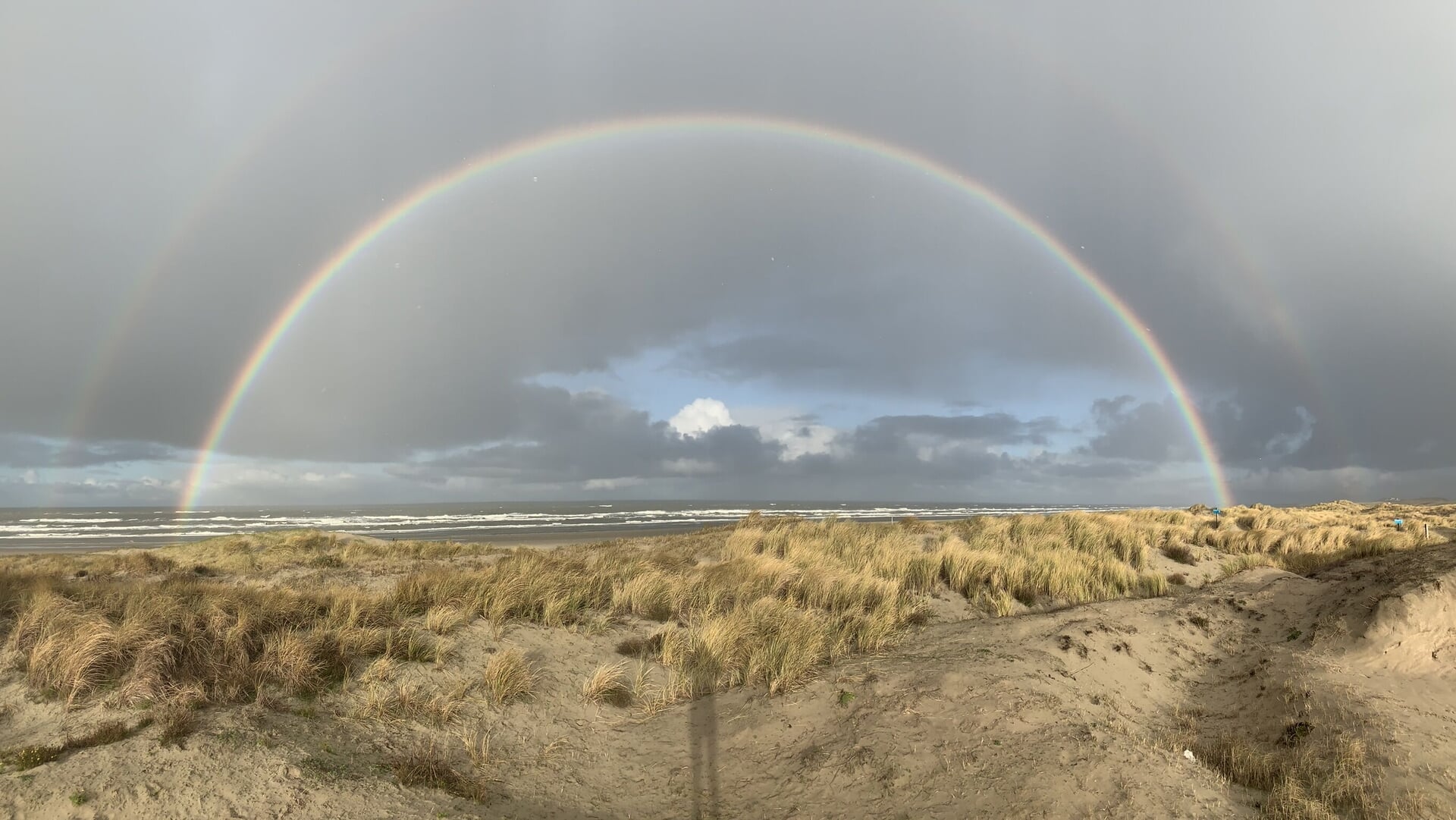 Stevige winterwandeling door de Duinen van Goeree