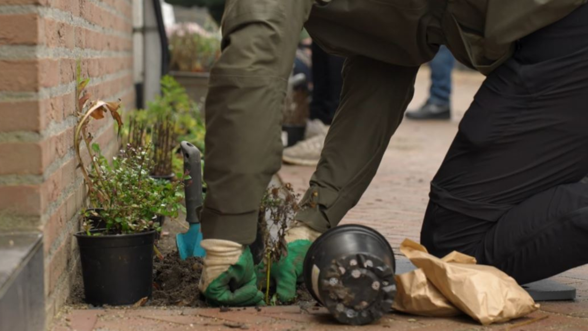 Bewoners beplanten geveltuintjes aan de Straatdijk in Dirksland