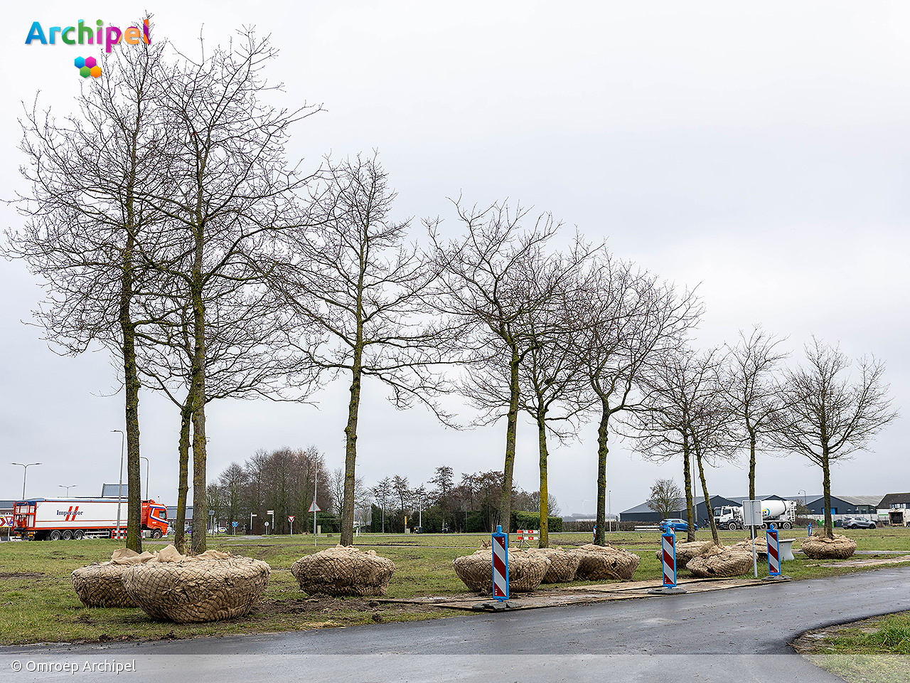 Nieuwe bestemming voor bomen carpoolplaats Middelharnis