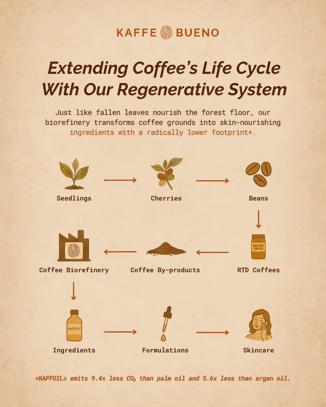 A visual design example of content creation by IVL Creatives. This is an infographic created for a Kaffe Bueno LinkedIn post as part of their We Are Nature campaign.