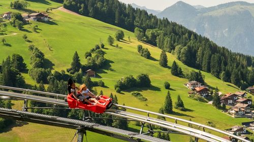 Alpine Coaster "Drachenflitzer"