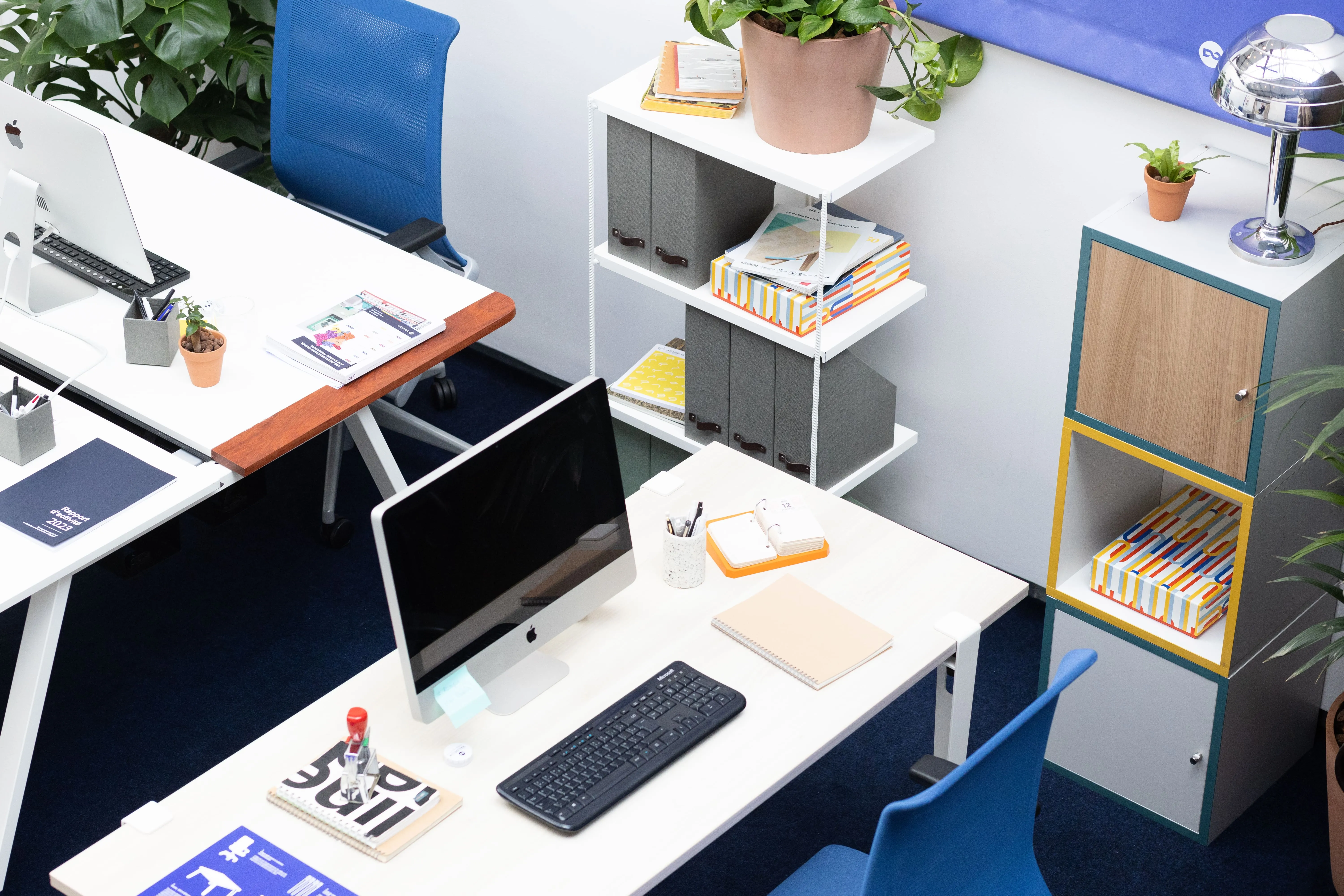 Bureaux aménagés en open space : postes de travail individuels, rangements clairs et plantes