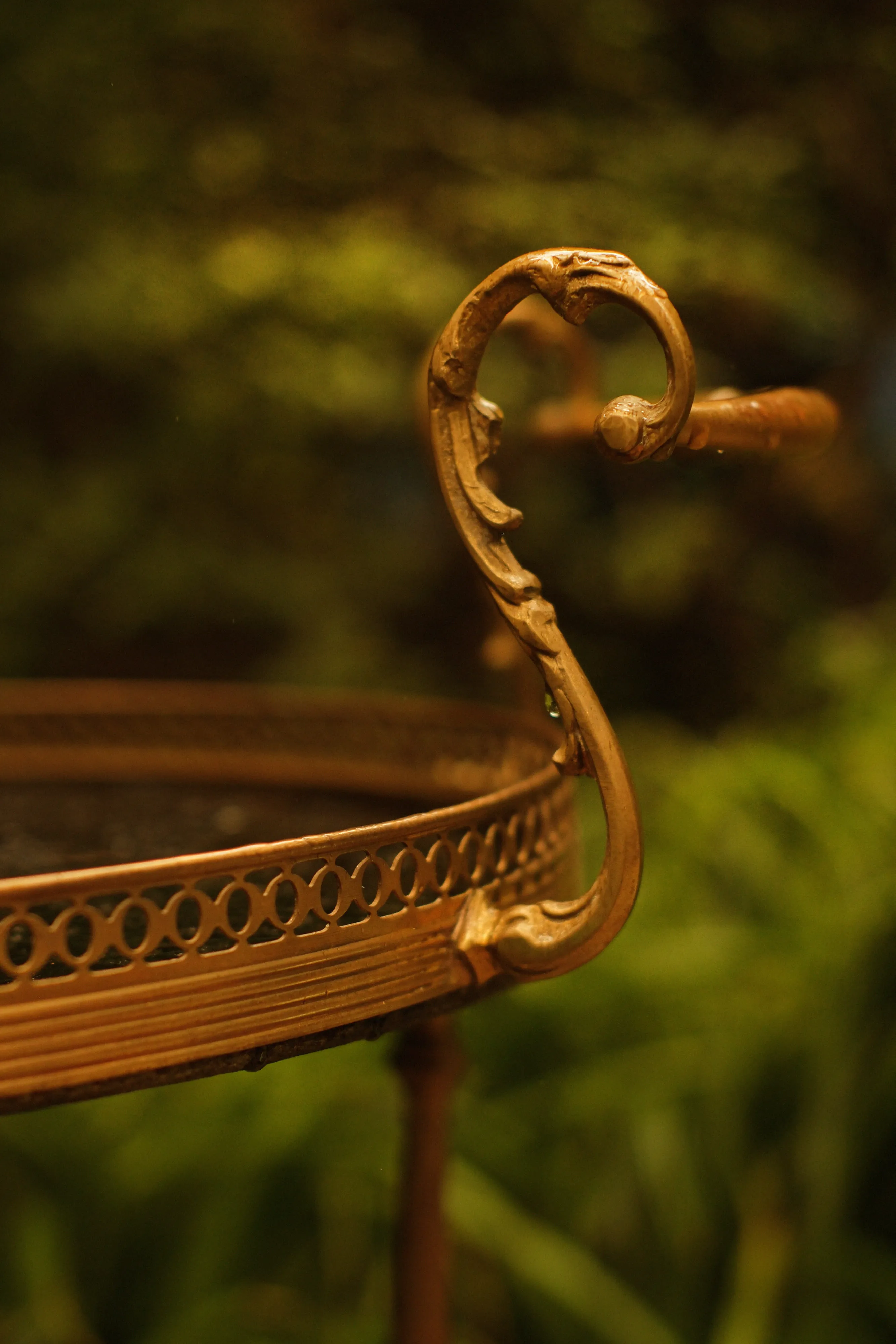 Détail d'un cadre doré ancien intégré à un décor végétal