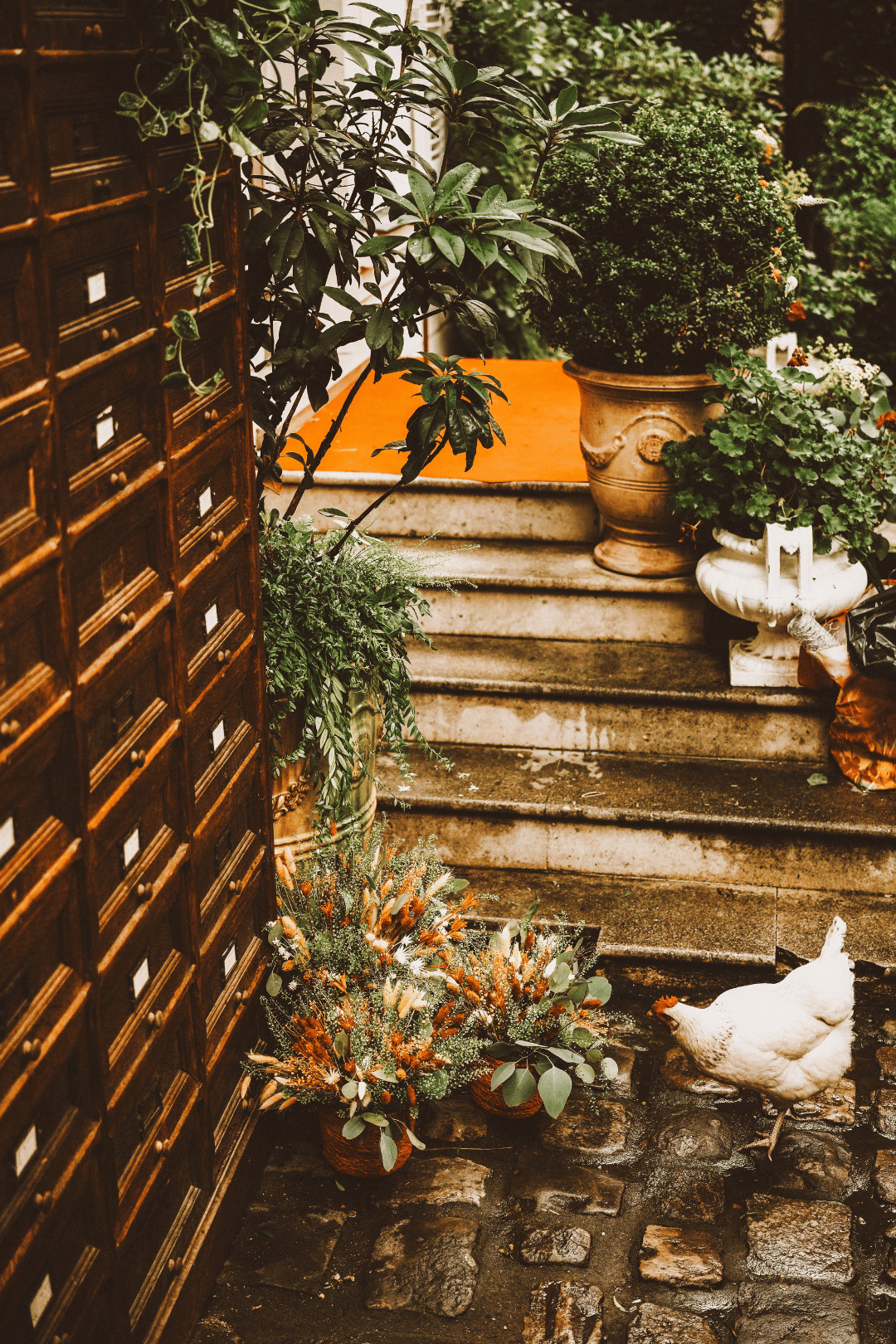 meubles en bois ancien, vase et fleurs, escalier, poules, pots de fleurs, feuillages