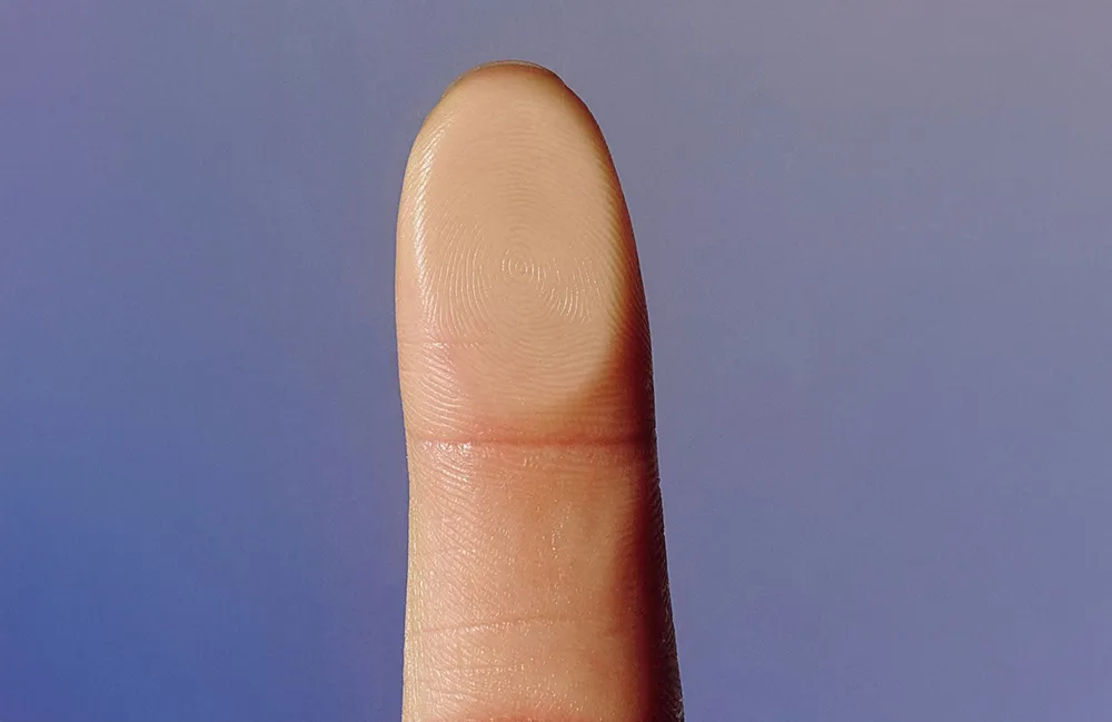 Close-up of a fingertip showing its fingerprint against a blue background
