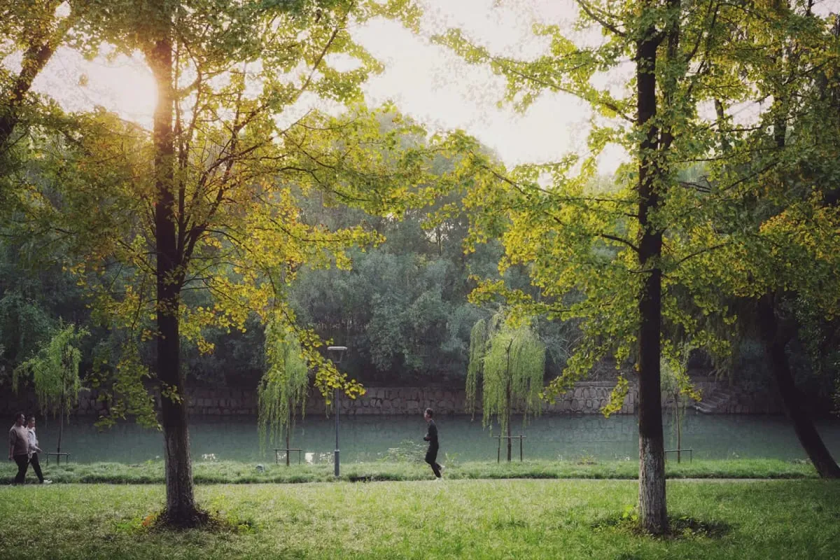 Person jogging and two people walking along a path beside a calm river, with lush green trees and sunlight filtering through branches.