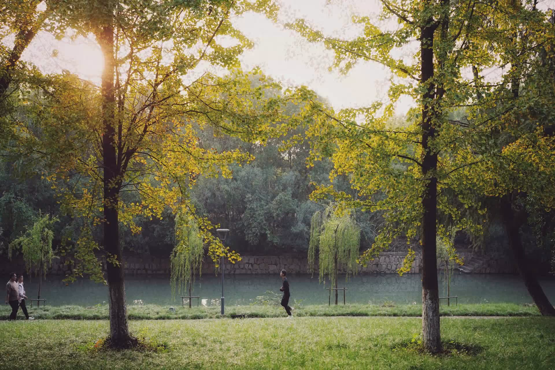 A serene park scene with green grass, tall trees, and a calm river in the background; three people walk along a path, two on the left and one in the center.