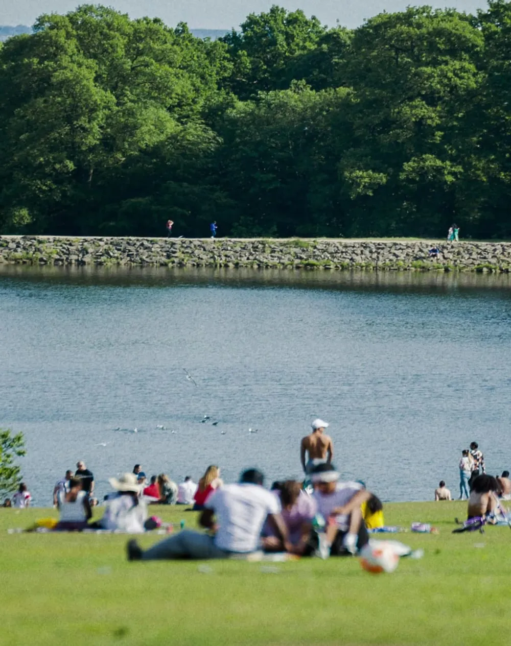 People relaxing on a grassy area near a lake or reservoir with a tree line in the background and a rocky path between the water and trees.