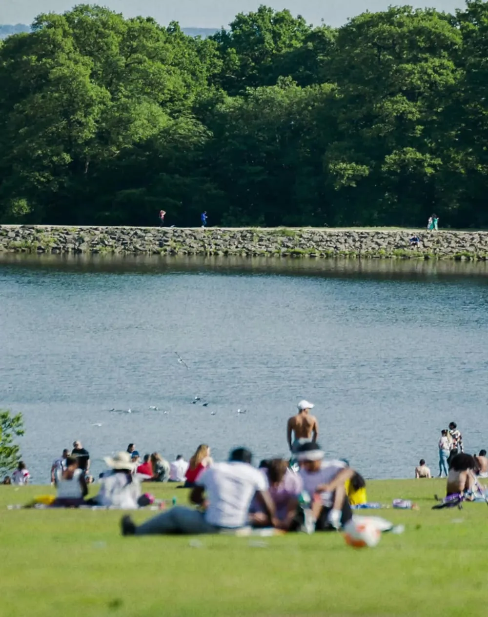 People relaxing and sitting on a grassy area near a lake with a rocky path and dense trees in the background on a sunny day.
