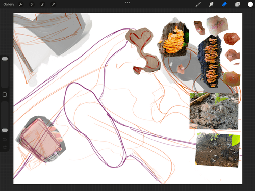 a screenshot of the procreate page aaliyah has set up to create her next nightmare piece