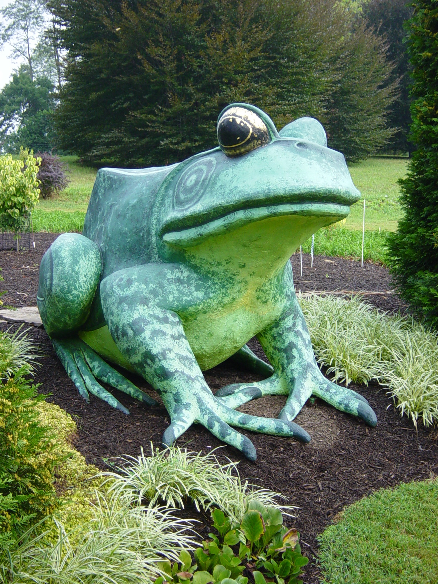 Talking Frog
