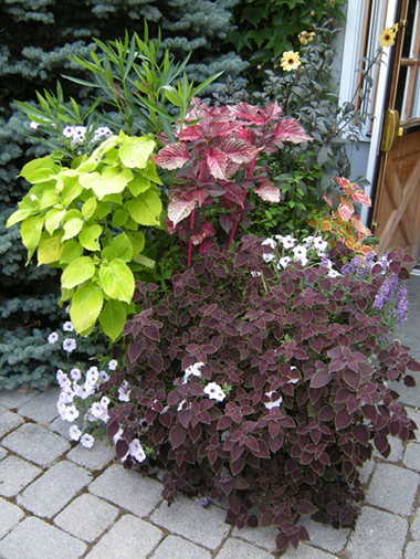 Containers on Stoop (NJ)